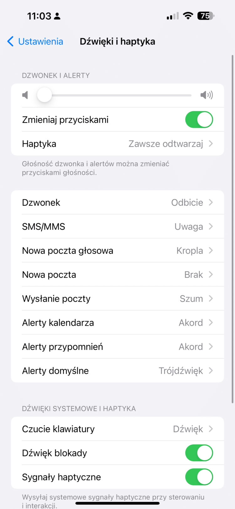 iOS 17.2 umożliwia zmianę dzwonka powiadomień. Oto jak to zrobić
