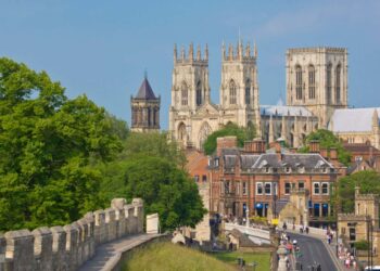 Dlaczego możemy popełniać błędy w sadzeniu drzew miejskich