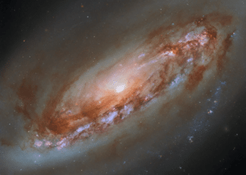 Marshall Star – wydanie z 23 października 2024