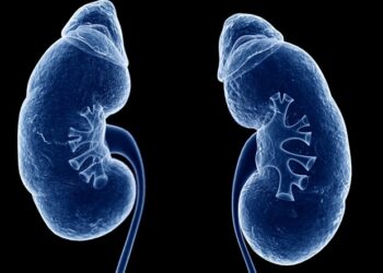 Nowe narzędzie z Wielkiej Brytanii obiecuje lepsze wyniki dla pacjentów po przeszczepie nerki