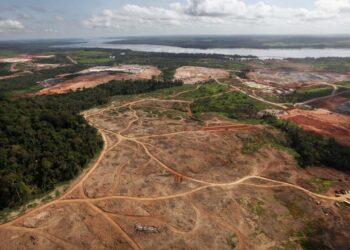 Świat jest daleki od osiągnięcia celu zatrzymania utraty różnorodności biologicznej