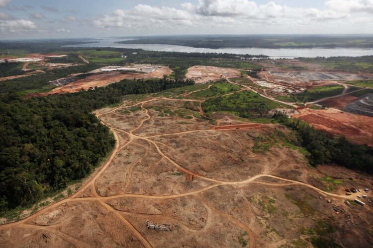 Świat jest daleki od osiągnięcia celu zatrzymania utraty różnorodności biologicznej