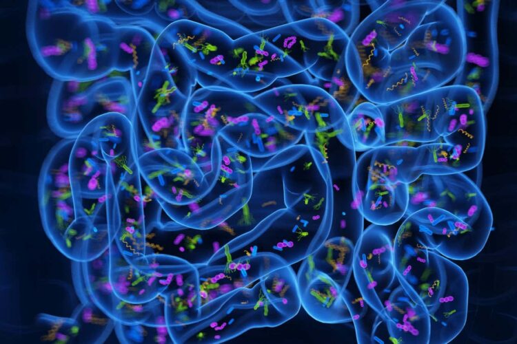 Twoje bakterie jelitowe toczą wojnę – i zmuszają wrogów do przejścia na swoją stronę