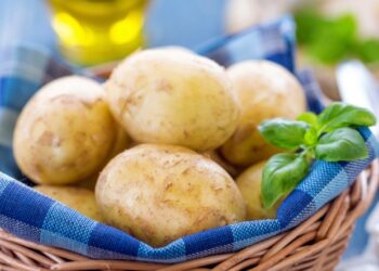 Wayne State University otrzymuje grant od NIH na badania nad innowacyjnym projektowaniem leków