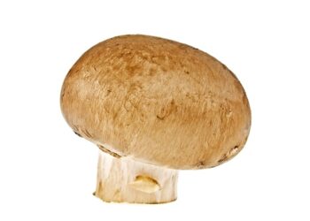 Badanie ujawnia, dlaczego białe pieczarki mogą wspomagać hamowanie rozwoju raka prostaty