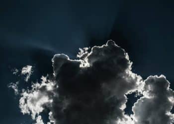 Dlaczego inwestorzy klimatyczni z ostrożnym optymizmem patrzą na perspektywę drugiej kadencji Trumpa?