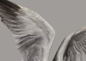 Google Pixel Tablet 2: Nowy model z etui z klawiaturą