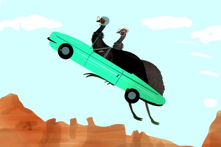 Jak poradzić sobie z dzikimi emu