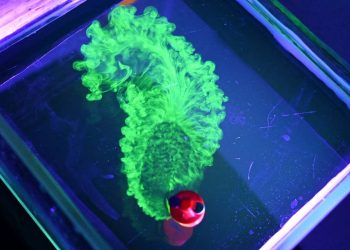 Jak zjawisko przyciągania Cheerios stało się inspiracją dla nowego rodzaju robotów