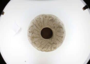 "Kamienie sprzed 12 000 lat mogą być najstarszym przykładem narzędzi przypominających koło"