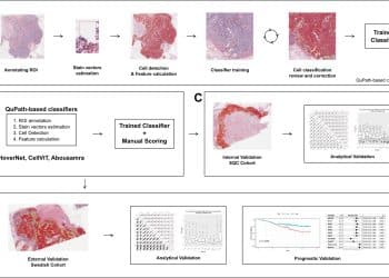 „Modele AI rewolucjonizują ocenę TIL w raku piersi, ale wymagają potwierdzenia w praktyce”
