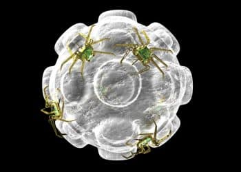 Naukowcy opracowali skuteczną metodę projektowania spersonalizowanych białek