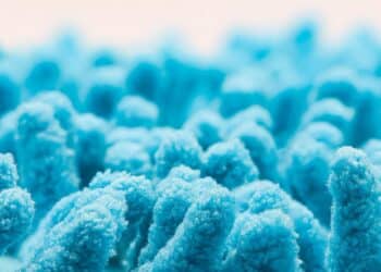 Nowe spojrzenie na związek genów, mikrobiomu jelitowego i zdrowia psychicznego