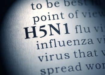 Nowy zestaw diagnostyczny do wykrywania wirusa ptasiej grypy H5N1 o wysokiej zjadliwości