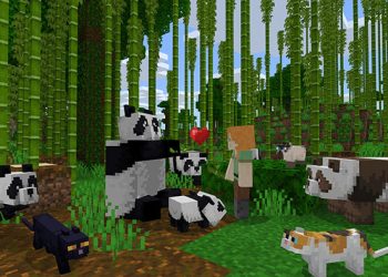 "Od PDF-ów do wypalenia umysłowego: Nietypowe narzędzia do nauki inspirowane trendem z TikToka"