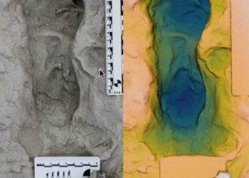 Odciski stóp sprzed 1,5 miliona lat ujawniają współistnienie dwóch gatunków ludzkich nad brzegiem jeziora