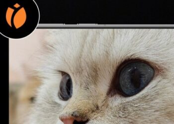 „OnePlus 13 otrzymuje tryb makro dzięki aktualizacji oprogramowania”