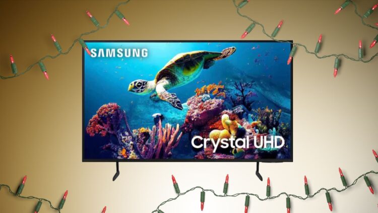 Plany Best Buy na Black Friday 2024