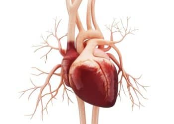 Program AI usprawnia interpretację echokardiogramów i skraca czas oczekiwania