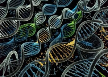 Rewolucyjna sztuczna inteligencja przewiduje starzenie się i choroby na podstawie wzorców DNA