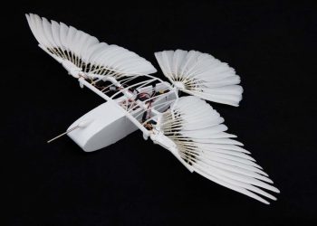 "Robotyczny gołąb ujawnia, jak ptaki latają bez pionowego statecznika"