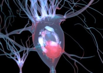 Sztucznie wytworzone ciała Lewy’ego ujawniają, jak stany zapalne mogą wywołać chorobę Parkinsona u każdego