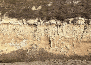 Ten startup tworzący AI zakłada ludziom kamery na plecy