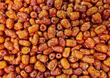 Tradycyjne chińskie zioło może pomóc w walce z chorobą Alzheimera i Parkinsona