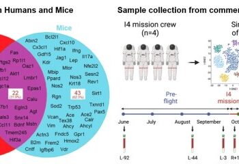 Wpływ Lotów Kosmicznych na Biomarkery Starzenia i Kruchości