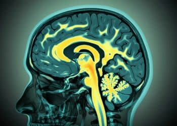 Wpływ niedoboru wapnia i magnezu na zdrowie poznawcze