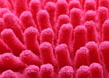 Badanie ujawnia unikalną rolę mikrobiomu jelitowego w indywidualnej wrażliwości na glukozę