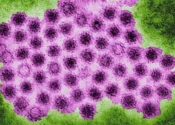 Czy szczepionka mRNA może stać się rozwiązaniem na wirusa noro odpowiedzialnego za rosnącą liczbę zachorowań?