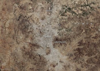 Dane NASA pokazują, jak tereny zielone wpływają na ochładzanie miast