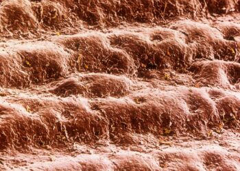 Dbaj o skórę nie dla wyglądu, lecz dla zdrowia