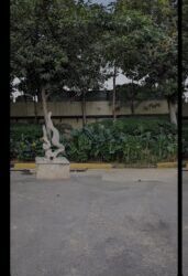 Google Photos Magic Editor - Czym jest i jak działa?