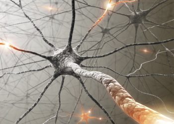 Jak neurony w skórze odbierają i przetwarzają sygnały dotyku społecznego