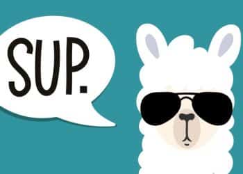 Meta prezentuje nowy, bardziej wydajny model Llama