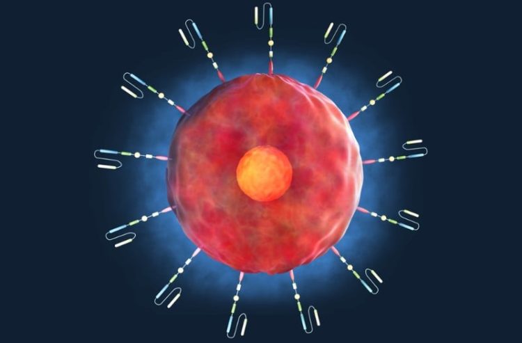 Metabolit diety keto może wspierać CAR-T w walce z rakiem
