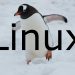 Model Dojrzałości Wkładu w Jądro Linux: Wykraczając Poza Zasadę "Upstream First"