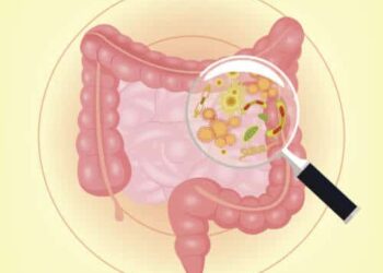 Naturalny związek może wspierać ochronę przed zapalnymi chorobami jelit