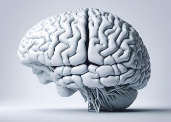 Naukowcy Bezpośrednio Kodują Nowe Wzorce Uczenia się w Ludzkim Mózgu