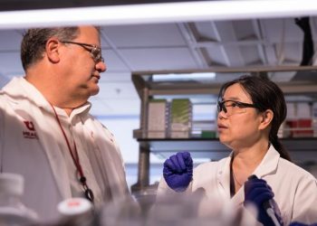 Nowa terapia genowa przynosi przełomowe efekty w leczeniu niewydolności serca u dużych zwierząt