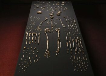 Nowy podcast bada, co tak naprawdę definiuje nasze człowieczeństwo