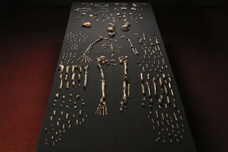 Nowy podcast bada, co tak naprawdę definiuje nasze człowieczeństwo