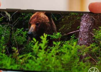 OnePlus wprowadza program naprawczy dla problemu z zieloną linią na ekranie