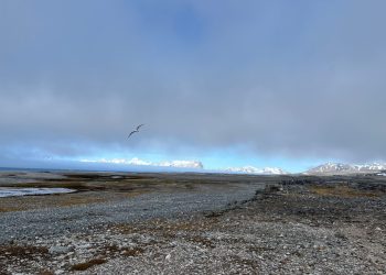 Rekrutacja do Polskiej Stacji Polarnej Hornsund