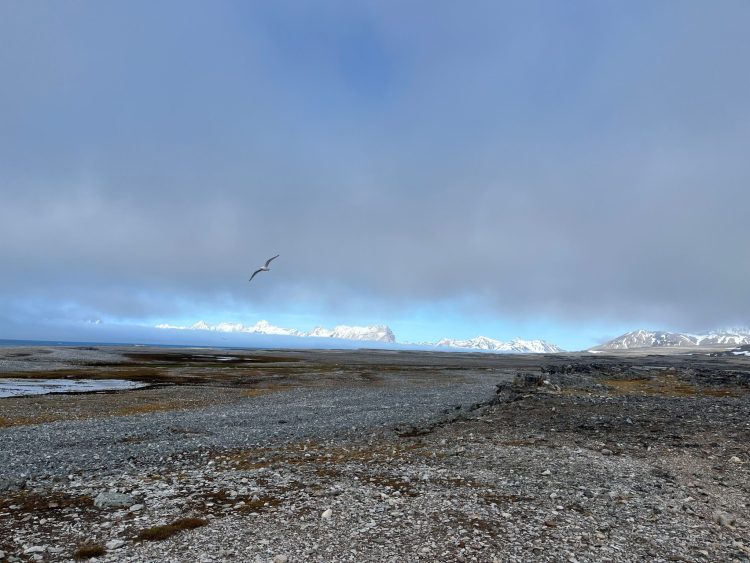 Rekrutacja do Polskiej Stacji Polarnej Hornsund