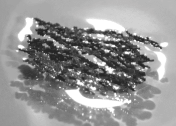 Rój małych robotów współpracuje, aby osiągnąć imponującą siłę na wzór mrówek