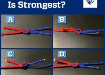 Sędzia Wiązła: Zaskakująca Nauka o Tym, Dlaczego Nie Potrafimy Określić Wytrzymałości Węzłów