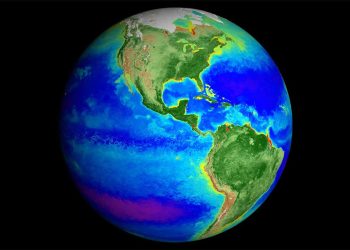 Śledzenie poziomu chlorofilu w oceanach może pomóc ograniczyć skutki ocieplenia wód